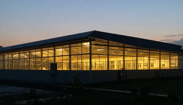 员工关系管理的适用边界：何时适合介入，何时需谨慎