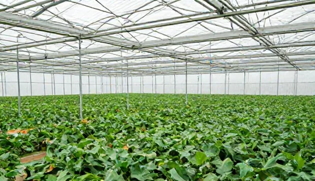 芜湖网站建设中性能分析对结果的影响
