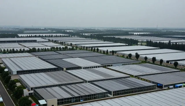 龙岗网站建设中的内容规划与推广策略